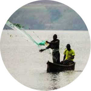 Two Ugandan men fishing with a net